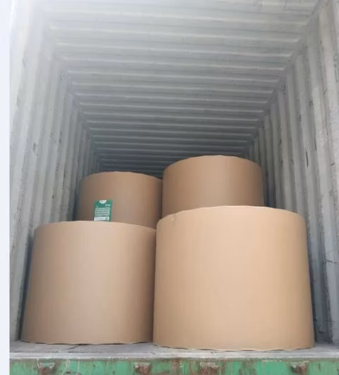 cartão branco da placa Fbb C1s do marfim de 170g 180g 210g 230g 250g 300GSM